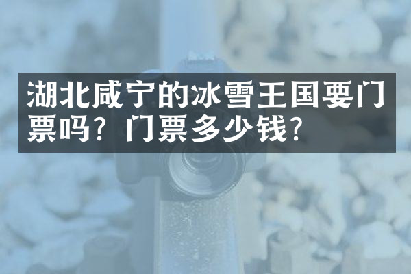 湖北咸宁的冰雪王国要门票吗？门票多少钱？
