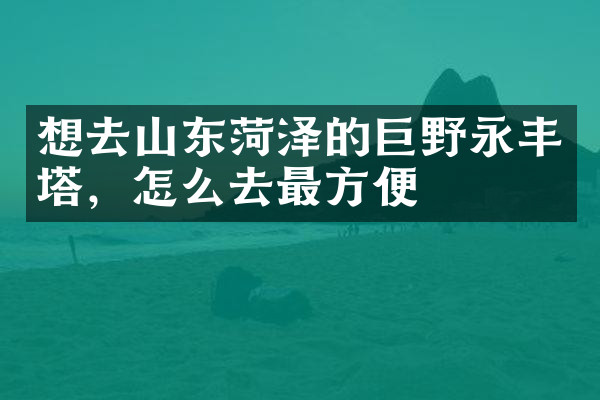 想去山东菏泽的巨野永丰塔，怎么去最方便