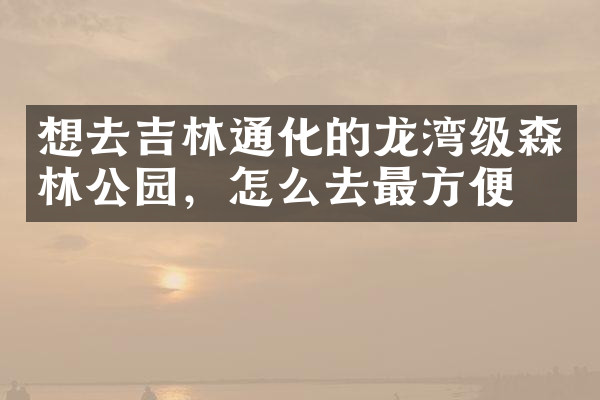 想去吉林通化的龙湾级森林公园，怎么去最方便