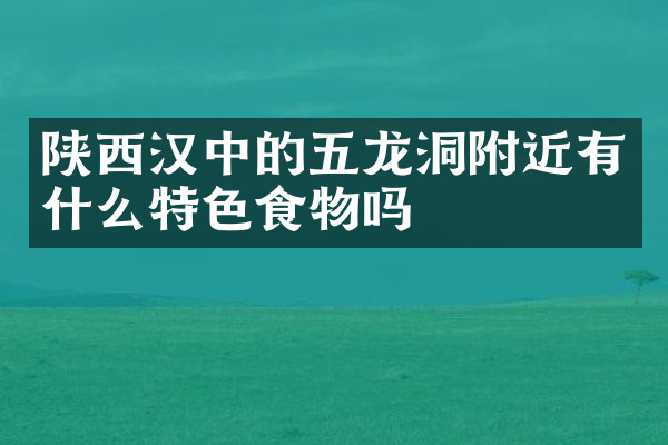 陕西汉中的五龙洞附近有什么特色食物吗