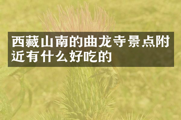 西藏山南的曲龙寺景点附近有什么好吃的