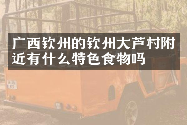 广西钦州的钦州大芦村附近有什么特色食物吗