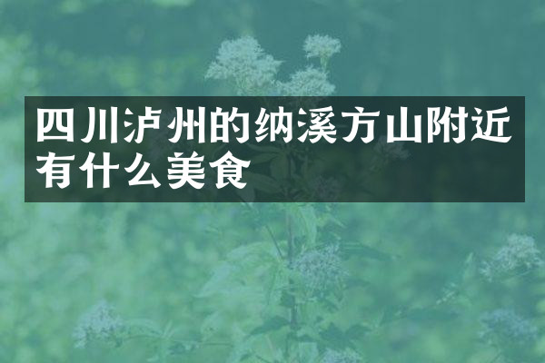 四川泸州的纳溪方山附近有什么美食