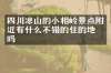 四川凉山的小相岭景点附近有什么不错的住的地方吗