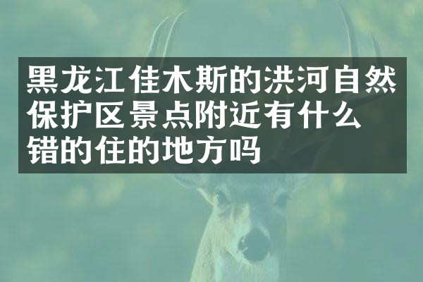 黑龙江佳木斯的洪河自然保护区景点附近有什么不错的住的地方吗