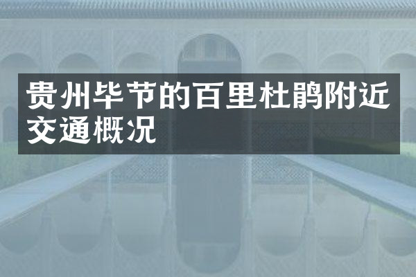 贵州毕节的百里杜鹃附近交通概况