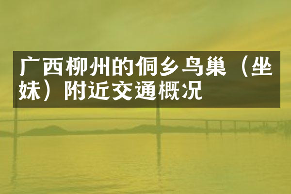 广西柳州的侗乡鸟巢（坐妹）附近交通概况