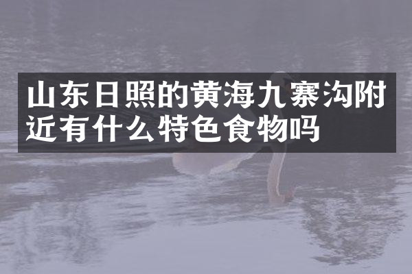 山东日照的黄海九寨沟附近有什么特色食物吗