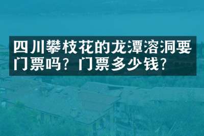 四川攀枝花的龙潭溶洞要门票吗？门票多少钱？