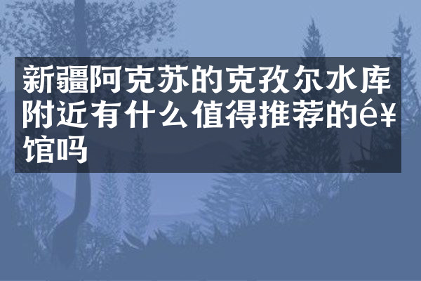 新疆阿克苏的克孜尔水库附近有什么值得推荐的饭馆吗
