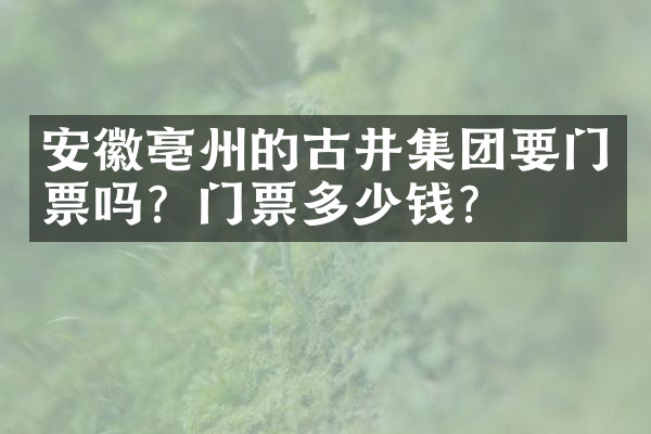 安徽亳州的古井集团要门票吗？门票多少钱？