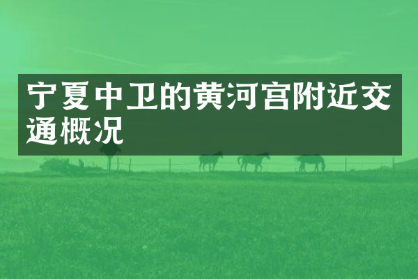 宁夏中卫的黄河宫附近交通概况