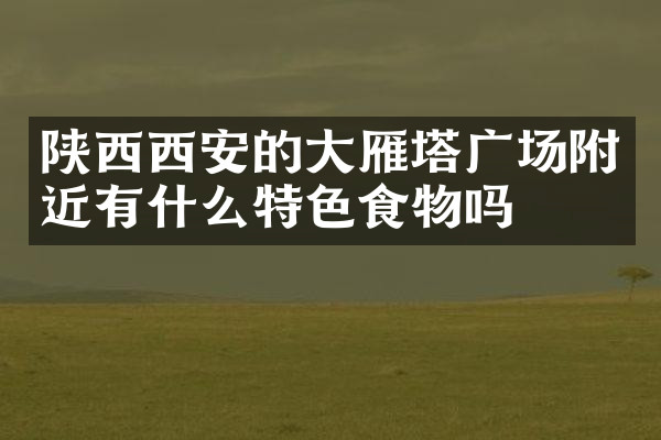 陕西西安的大雁塔广场附近有什么特色食物吗