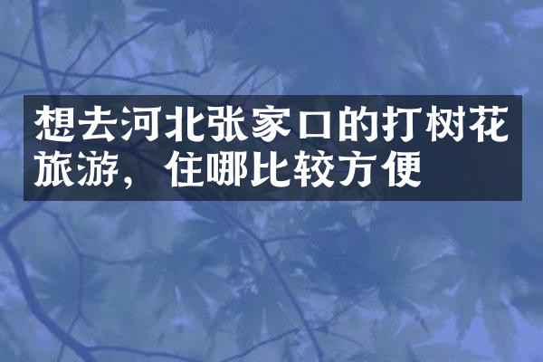 想去河北张家口的打树花旅游，住哪比较方便