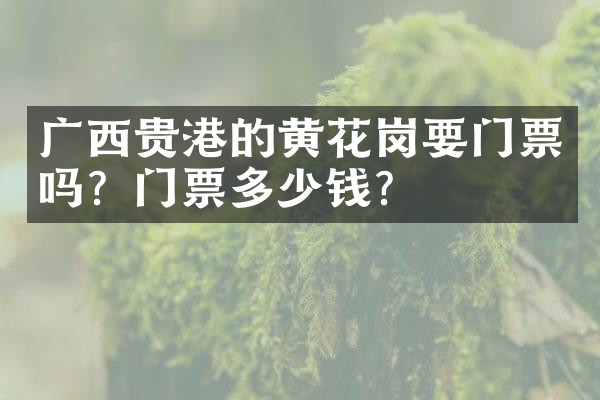 广西贵港的黄花岗要门票吗？门票多少钱？