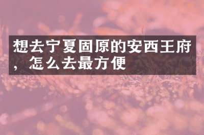 想去宁夏固原的安西王府，怎么去最方便