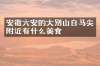 安徽六安的大别山白马尖附近有什么美食