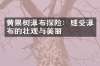 黄果树瀑布探险：感受瀑布的壮观与美丽