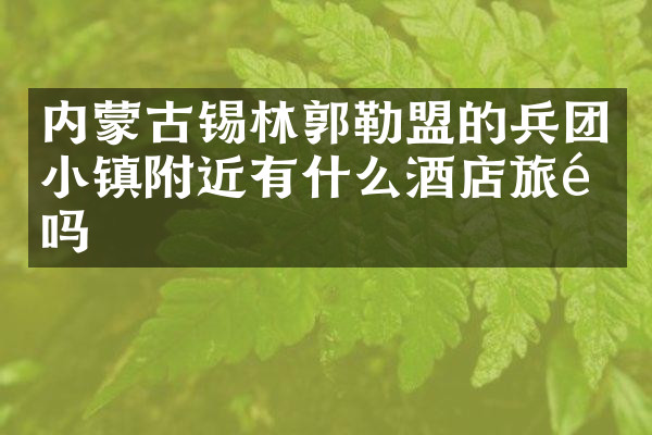 内蒙古锡林郭勒盟的兵团小镇附近有什么酒店旅馆吗