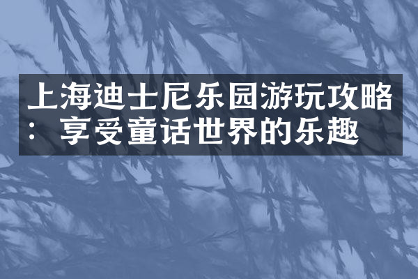 上海迪士尼乐园游玩攻略：享受童话世界的乐趣