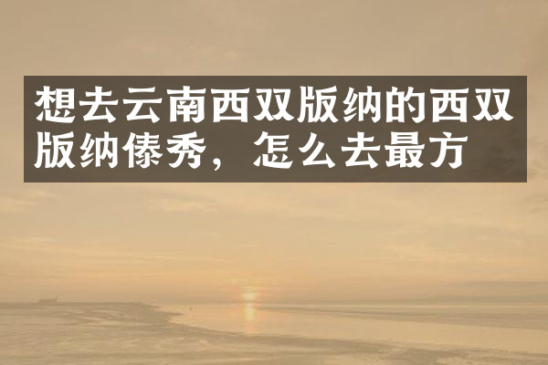 想去云南西双版纳的西双版纳傣秀，怎么去最方便