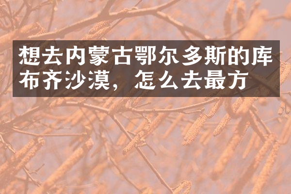 想去内蒙古鄂尔多斯的库布齐沙漠，怎么去最方便