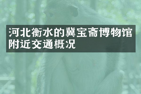 河北衡水的冀宝斋博物馆附近交通概况