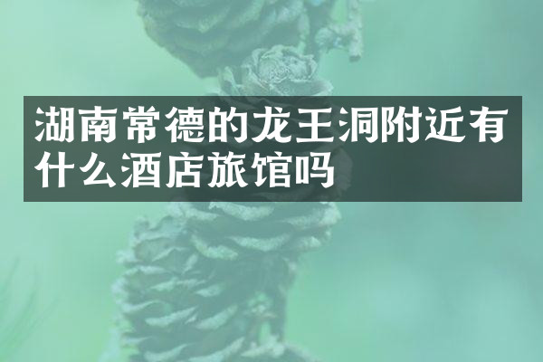 湖南常德的龙王洞附近有什么酒店旅馆吗