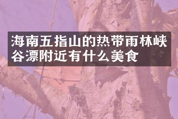 海南五指山的热带雨林峡谷漂附近有什么美食