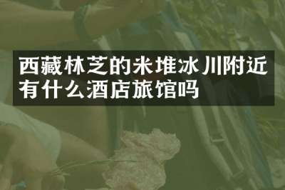 西藏林芝的米堆冰川附近有什么酒店旅馆吗