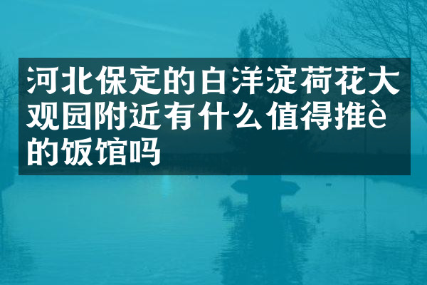 河北保定的白洋淀荷花大观园附近有什么值得推荐的饭馆吗
