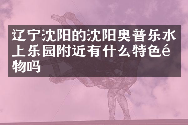 辽宁沈阳的沈阳奥普乐水上乐园附近有什么特色食物吗