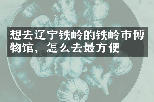 想去辽宁铁岭的铁岭市博物馆，怎么去最方便