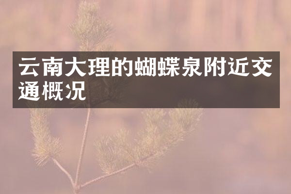 云南大理的蝴蝶泉附近交通概况