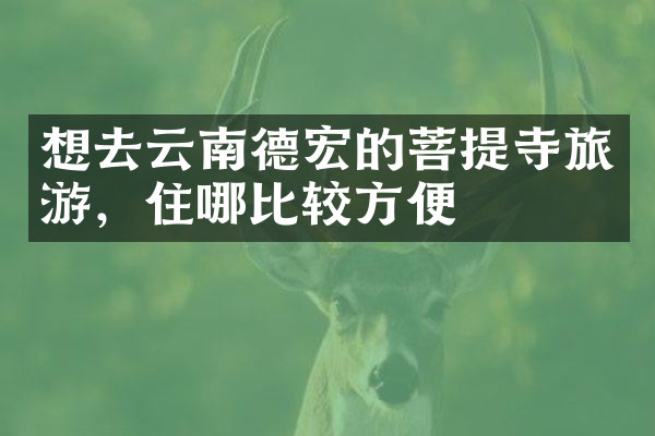 想去云南德宏的菩提寺旅游，住哪比较方便