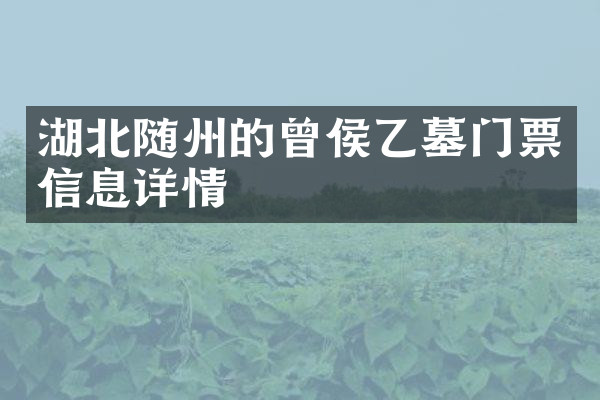 湖北随州的曾侯乙墓门票信息详情
