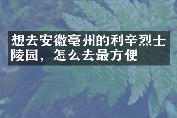 想去安徽亳州的利辛烈士陵园，怎么去最方便