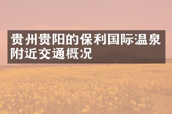 贵州贵阳的保利国际温泉附近交通概况