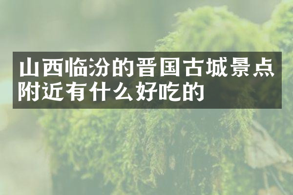 山西临汾的晋国古城景点附近有什么好吃的