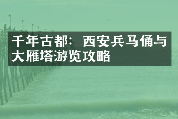 千年古都：西安兵马俑与大雁塔游览攻略