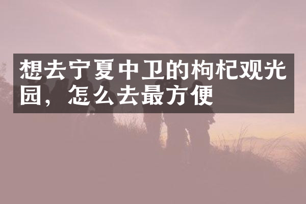 想去宁夏中卫的枸杞观光园，怎么去最方便