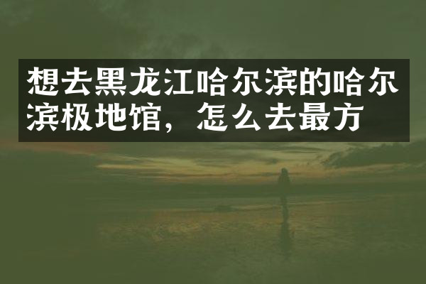 想去黑龙江哈尔滨的哈尔滨极地馆，怎么去最方便