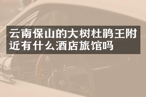 云南保山的大树杜鹃王附近有什么酒店旅馆吗