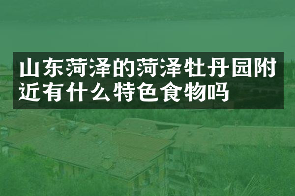 山东菏泽的菏泽牡丹园附近有什么特色食物吗