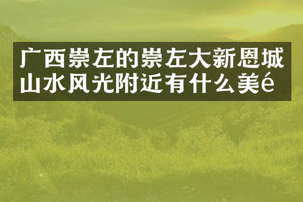 广西崇左的崇左大新恩城山水风光附近有什么美食
