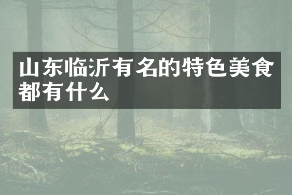 山东临沂有名的特色美食都有什么