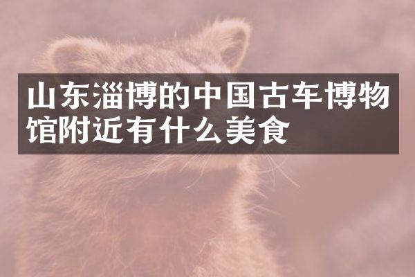 山东淄博的中国古车博物馆附近有什么美食