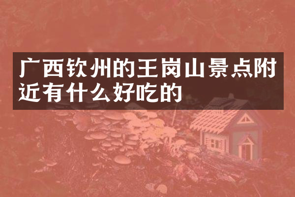 广西钦州的王岗山景点附近有什么好吃的