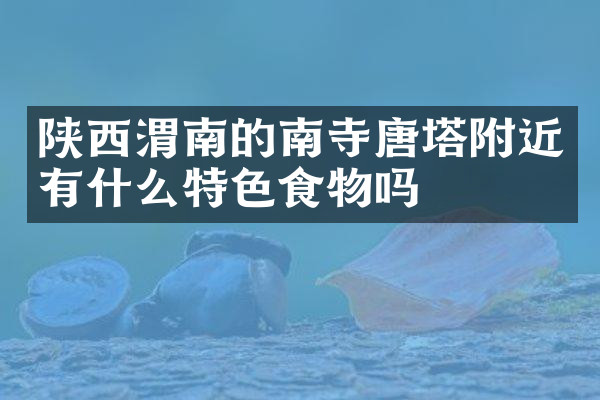 陕西渭南的南寺唐塔附近有什么特色食物吗
