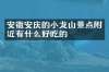 安徽安庆的小龙山景点附近有什么好吃的
